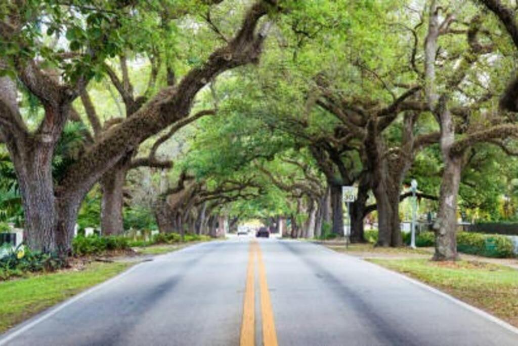 My Lovely Home In Miami 15 Minutes From The Beach 外观 照片